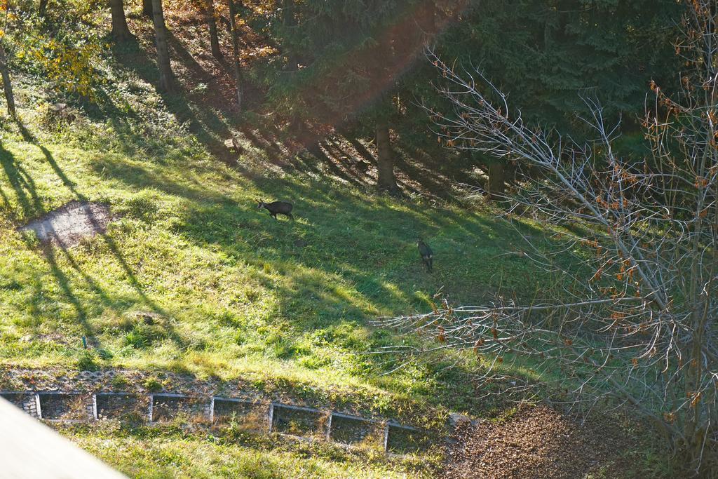 Domaine De La Croix De Javernaz Віляр-на-Олоні Екстер'єр фото